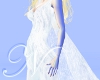 ~N~ Frosted Gown w/Cape