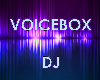 Voicebox - DJ