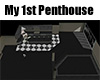 My 1st Penthouse