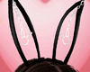 BUNNY EARS