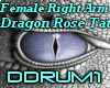 [DD](R)Dragon Rose Tat
