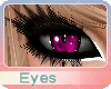 (OvO) Bear Pink Eyes