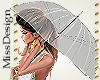 MD♛Plastic Umbrella