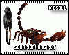Scorpion King Pet