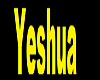 Yeshua DJ light