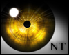 [NT] Eye Hunter