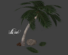 Palm Tree w/Poses
