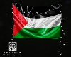 palestine Flag (2)