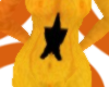 Fire star skin