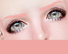 ➧ Dolly Brows P