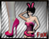 ! Bunny Outfit l Shoes