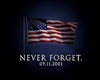 9/11 remember