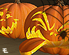 Pumpkins / Halloween