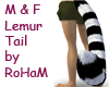 M&F long lemur Tail