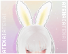 ❄ Cutie Bunny Ears 3