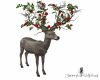 Red Roses Deer 5