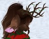 Chestnut Antlers (2)