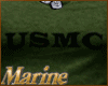 M| USMC PT Shirt OD