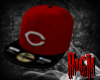 KD.Reds Fitted