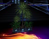 {SBR}My E34 plant