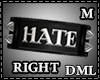 [DML] Hate Band M|R