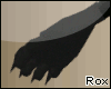 [Rox] Black paws