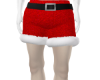 Sexy Santa
