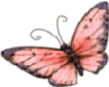 animated pink butterfly