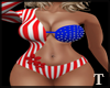 usa swimsuit