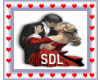 SDL dj effect  (SDLX)