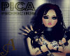 [A] PICA Banner