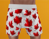 Canada Pajama Shorts (M)