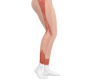 alo peach track