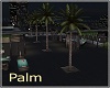 Palm move