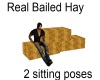 hay bail twined w/poses