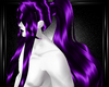 purple bellandy hairs M