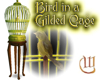 Bird in a Gilded Cage