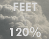 ♰ Feet - 120%