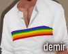 [D] Pride outfit