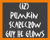 (IZ) Pumpkin Scarecrow G