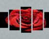 *R* Red Rose Picture