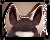Chip::EarsV4