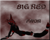 Big Red Tail