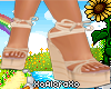 (A) Spring Wedges