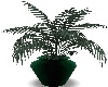 Palm Emerald Pot