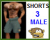 Newest Male Shorts 3