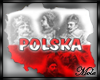 *M* Poland - Polska