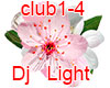 Club Dj Flowers RUS