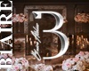 B1l B1AIRE Logo