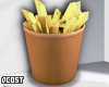 Fries Cup